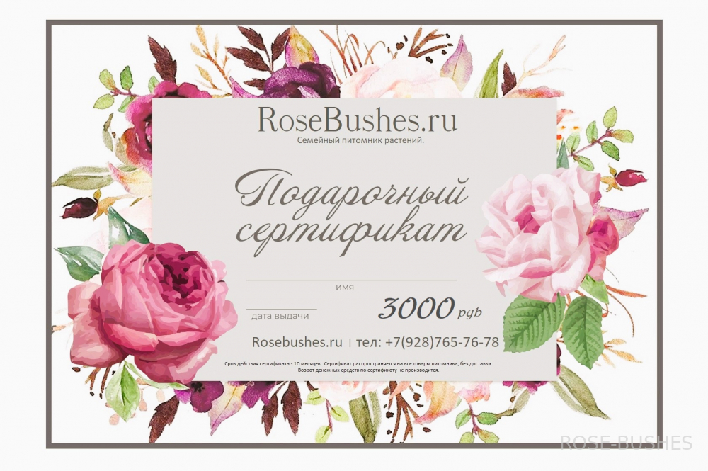 ���������� ���������� �� 3000�